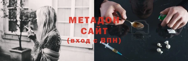 прущие грибы Медногорск